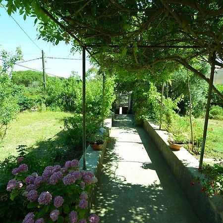 Apartment Renata Veli Lošinj Exterior foto